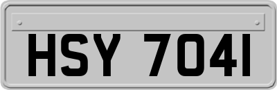 HSY7041