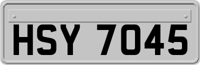 HSY7045