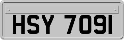 HSY7091