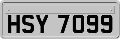 HSY7099