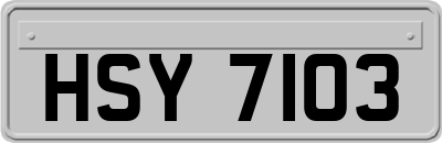 HSY7103