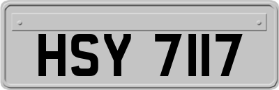HSY7117