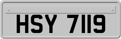 HSY7119