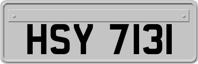 HSY7131