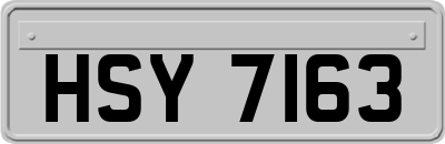 HSY7163