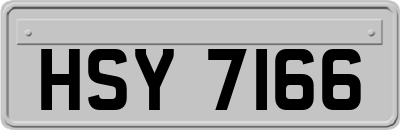 HSY7166