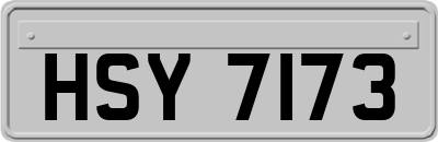 HSY7173