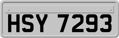 HSY7293