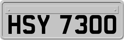 HSY7300