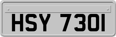 HSY7301