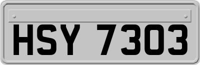 HSY7303