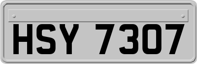 HSY7307