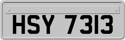 HSY7313