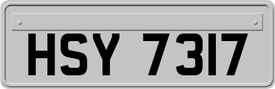 HSY7317