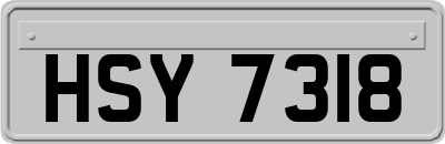 HSY7318