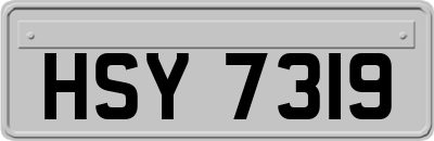 HSY7319