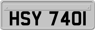 HSY7401