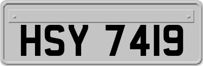 HSY7419