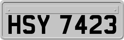 HSY7423