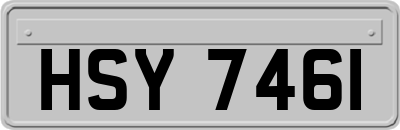 HSY7461