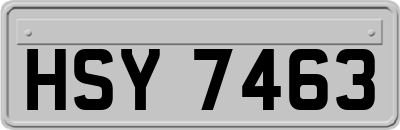 HSY7463
