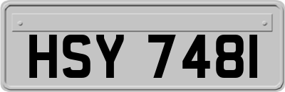 HSY7481