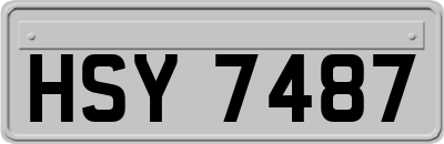 HSY7487