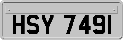 HSY7491