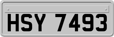 HSY7493