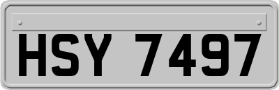 HSY7497