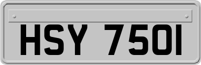 HSY7501
