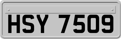 HSY7509