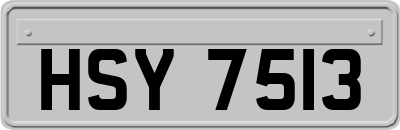HSY7513