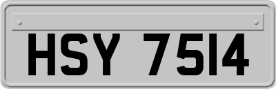 HSY7514