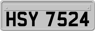 HSY7524
