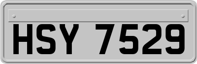 HSY7529