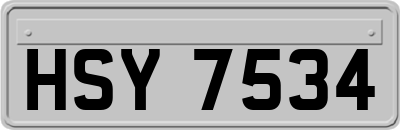 HSY7534