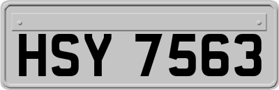 HSY7563