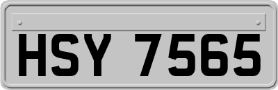 HSY7565