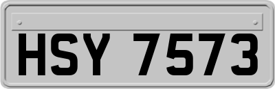 HSY7573