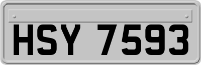HSY7593