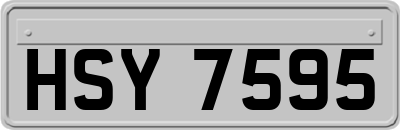 HSY7595