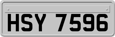 HSY7596