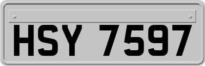 HSY7597