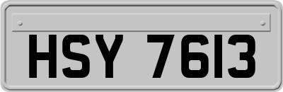 HSY7613