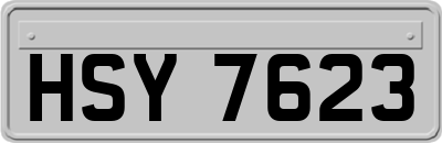 HSY7623