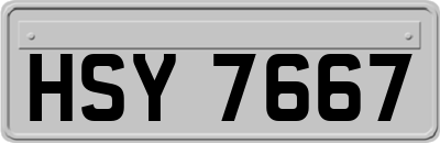 HSY7667