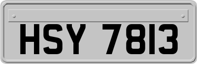HSY7813