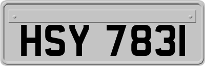 HSY7831
