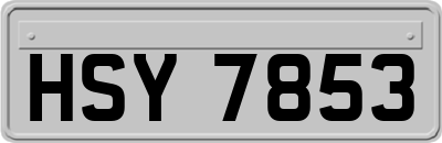 HSY7853